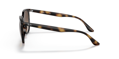 RAY-BAN RB4378 710/13 54