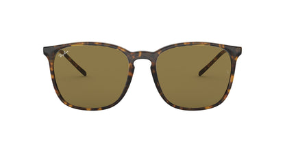 RAY-BAN RB4387 710/73 56