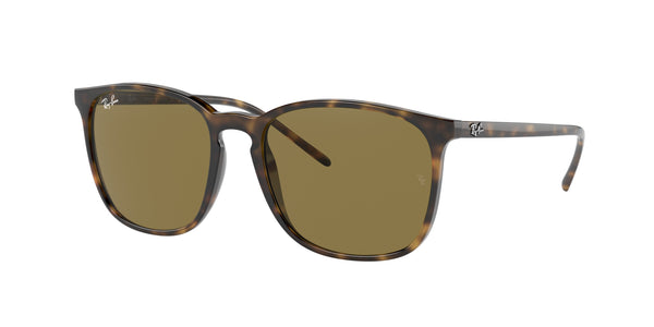 RAY-BAN RB4387 710/73 56