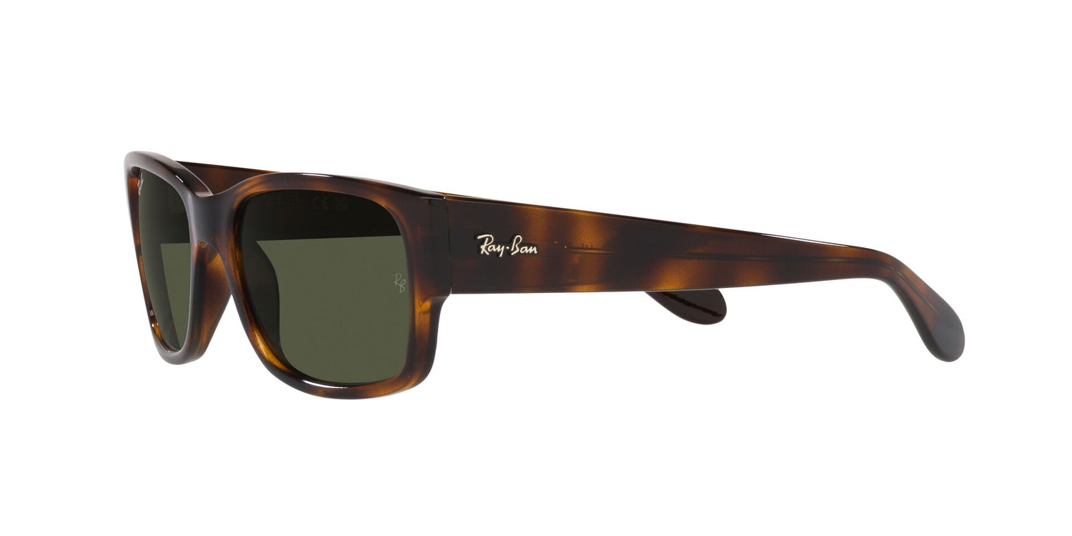 RAY-BAN RB4388 710/31 58