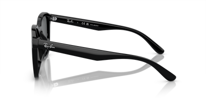 RAY-BAN RB4392D 601/81 66 - 14