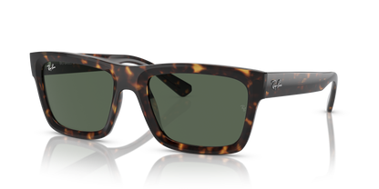 RAY-BAN RB4396 WARREN 135971 57 - 23