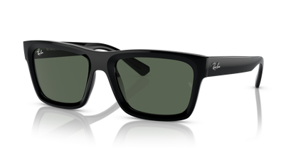 RAY-BAN RB4396 WARREN 667771 54