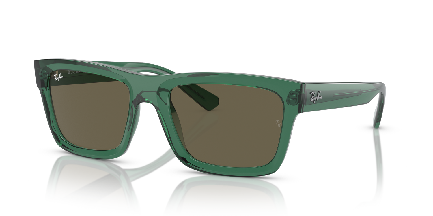 RAY-BAN RB4396 WARREN 6681/3 54