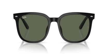 RAY-BAN RB4401D 601/71 55
