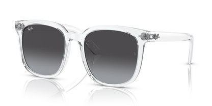 RAY-BAN RB4401D 64478G 55