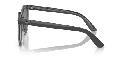 RAY-BAN RB4401D 659981 55