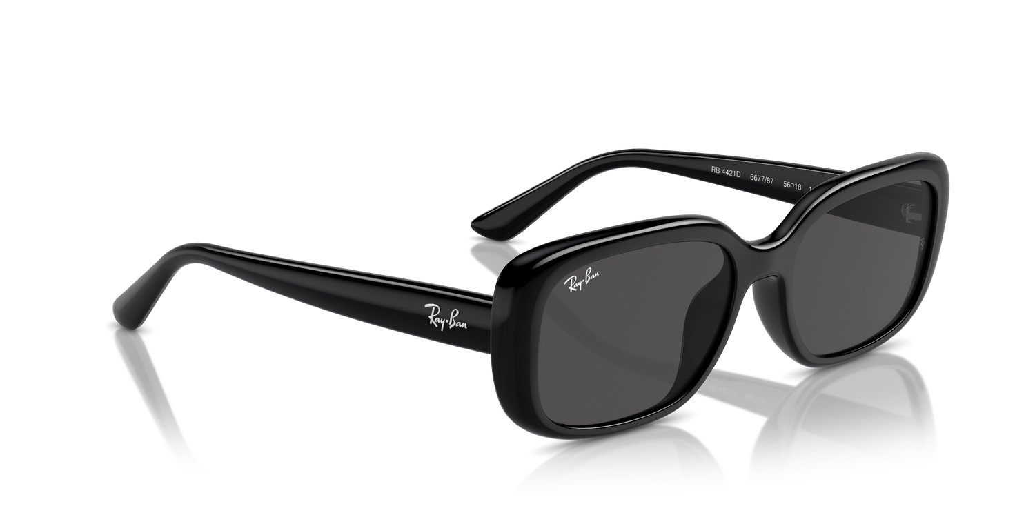 RAY-BAN RB4421D 667787 56 - 22