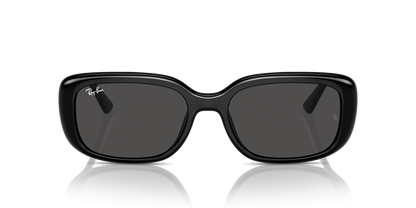 RAY-BAN RB4421D 667787 56 - 23