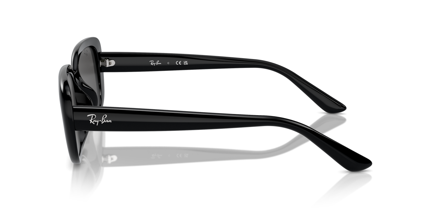 RAY-BAN RB4421D 667787 56 - 20