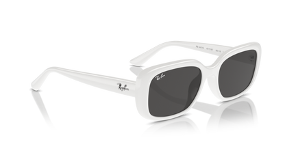 RAY-BAN RB4421D 677287 56 - 19
