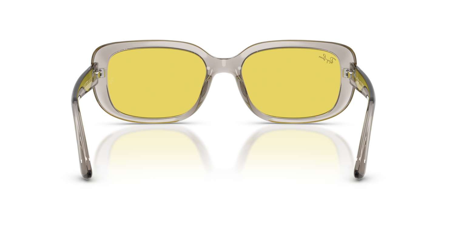 RAY-BAN RB4421D 681885 56