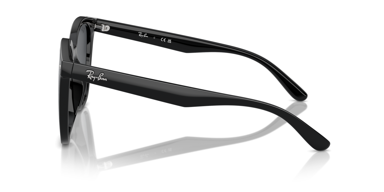 RAY-BAN RB4423D 601/87 66 - 16