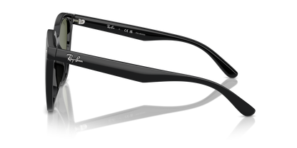 RAY-BAN RB4423D 601/9A 66 - 17