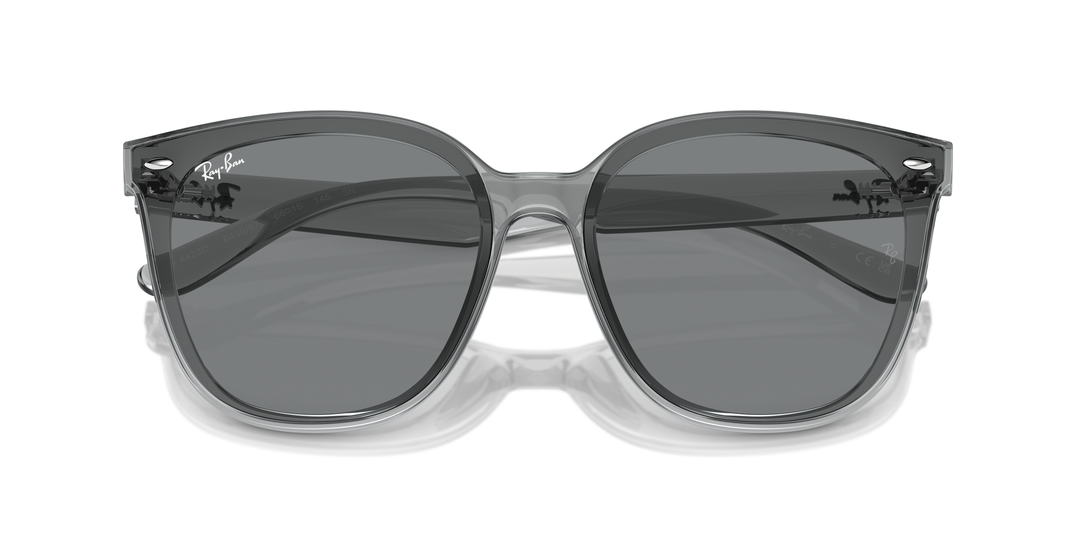 RAY-BAN RB4423D 645087 66 - 24