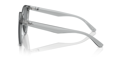 RAY-BAN RB4423D 645087 66 - 20