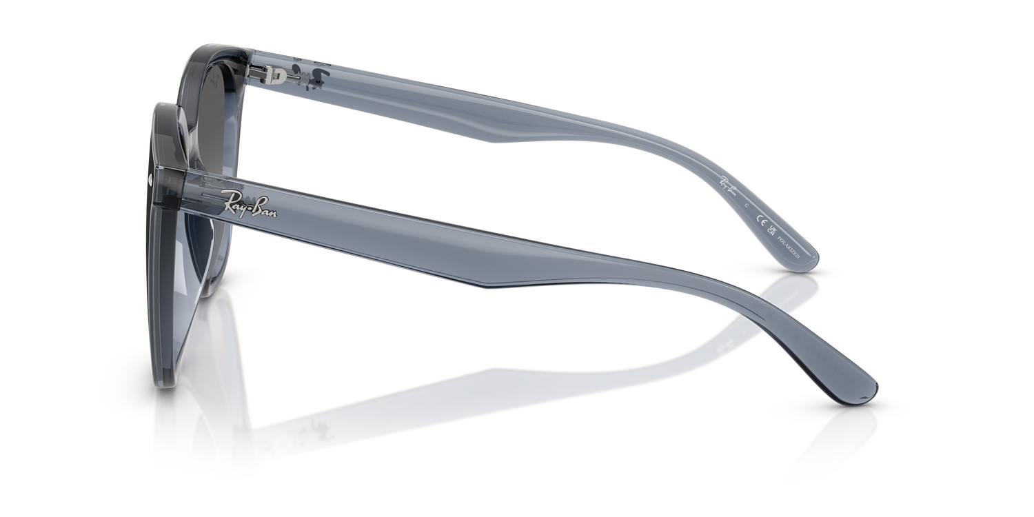 RAY-BAN RB4423D 6592T3 66