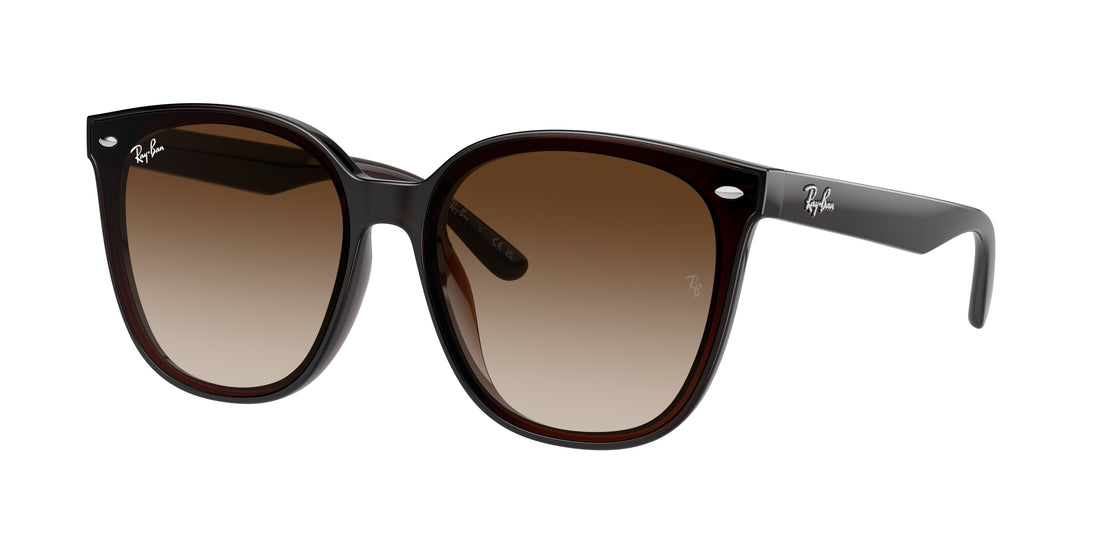 RAY-BAN RB4423D 714/13 66 - 23