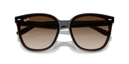 RAY-BAN RB4423D 714/13 66 - 4