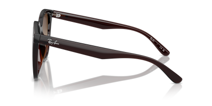 RAY-BAN RB4423D 714/13 66 - 24