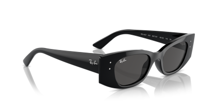 RAY-BAN RB4427 KAT 667787 49