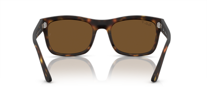 RAY-BAN RB4428 894/57 56