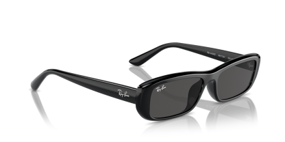 RAY-BAN RB4436D 667787 55