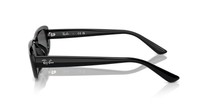 RAY-BAN RB4436D 667787 55