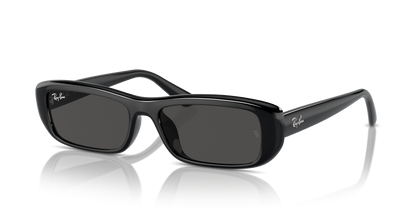 RAY-BAN RB4436D 667787 55