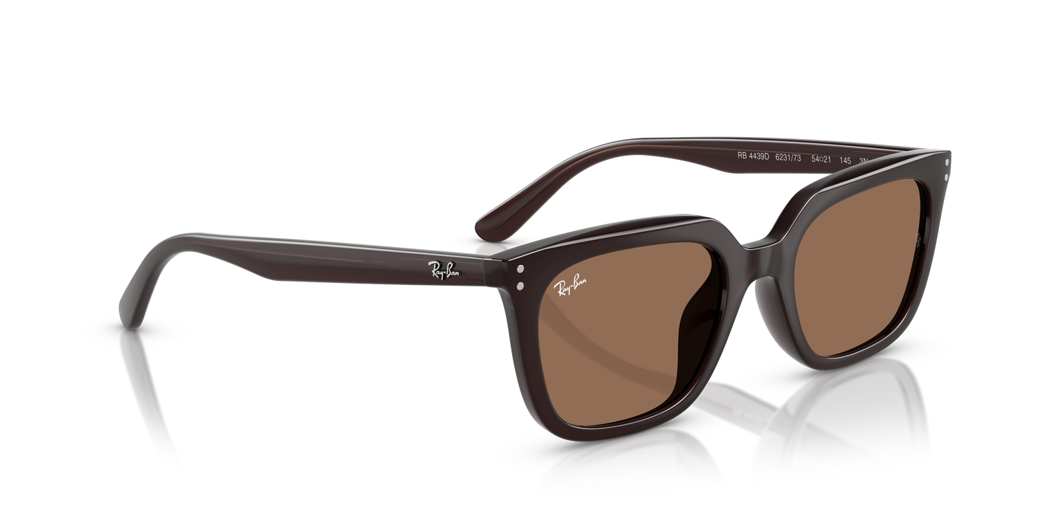 RAY-BAN RB4439D 623173 54