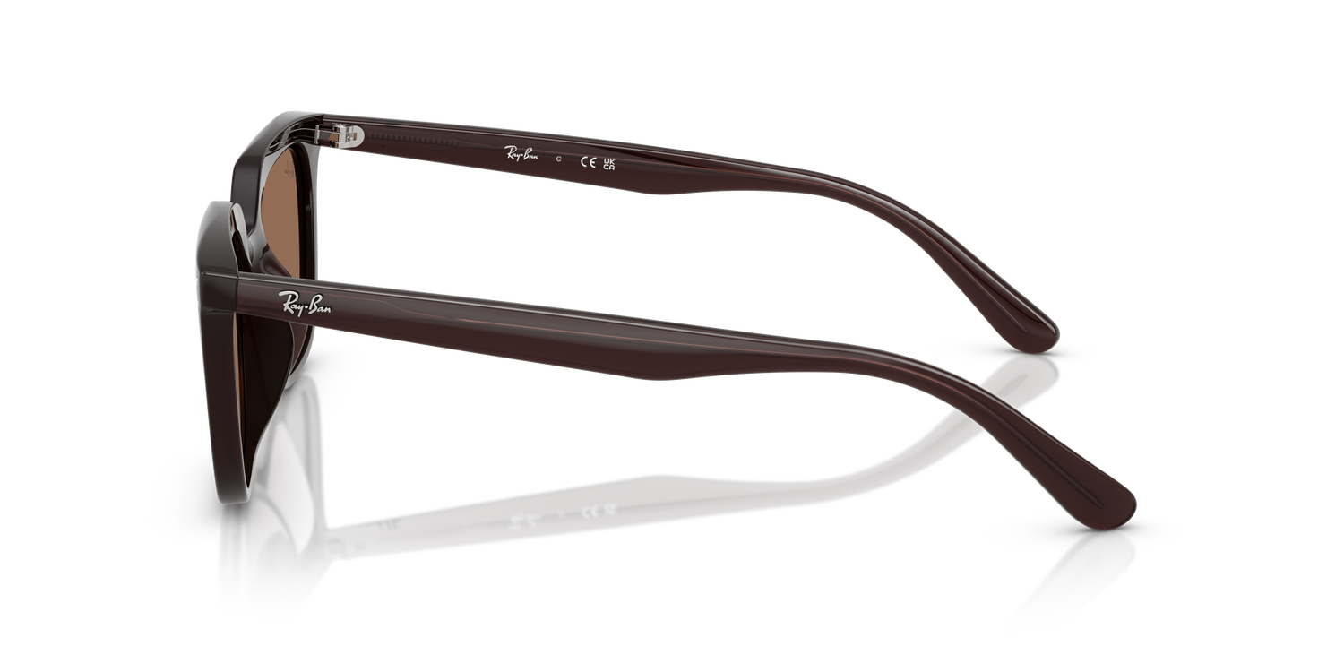 RAY-BAN RB4439D 623173 54