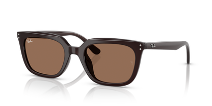 RAY-BAN RB4439D 623173 54