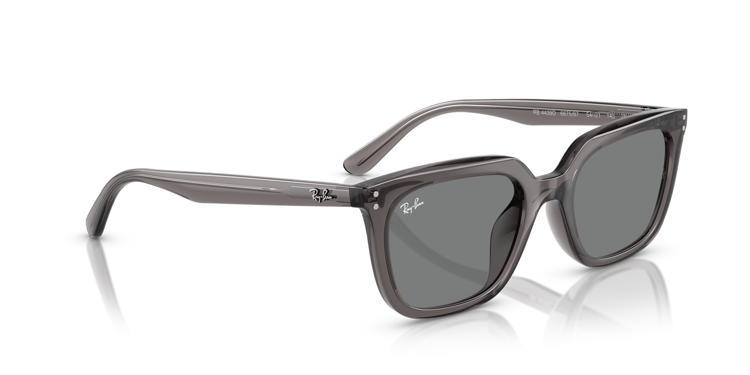 RAY-BAN RB4439D 667587 54