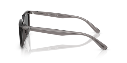 RAY-BAN RB4439D 667587 54