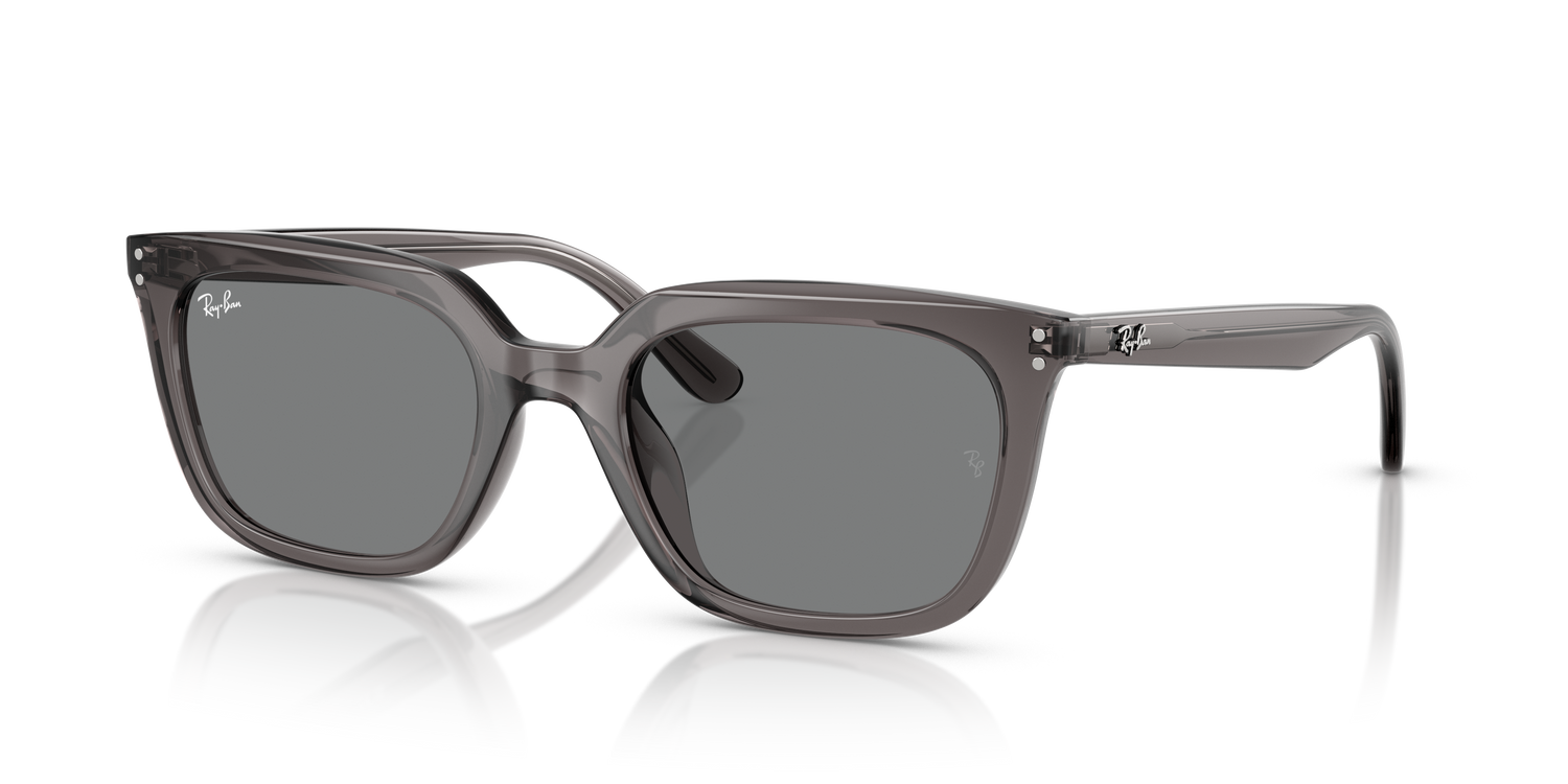 RAY-BAN RB4439D 667587 54