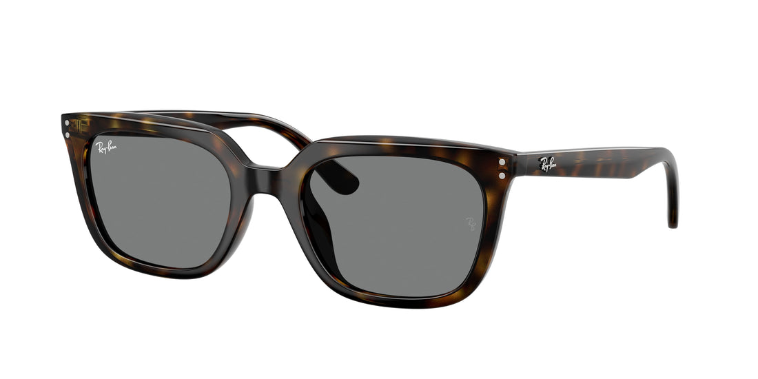Óculos de sol ray-ban rb4439d 710/87 havana square unisex tamanho 54mm - Vista principal
