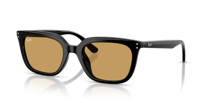 RAY-BAN RB4439D 901/73 54