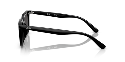 RAY-BAN RB4439D 901/87 54