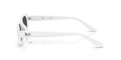 RAY-BAN RB4441D 677287 53