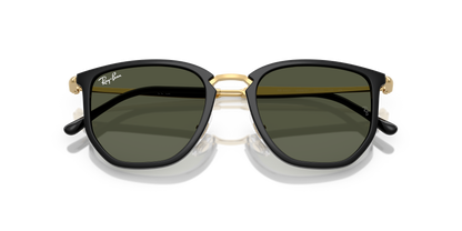 RAY-BAN RB4451 630631 53