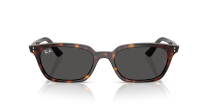 RAY-BAN RB4456 ZAYA 135987 53