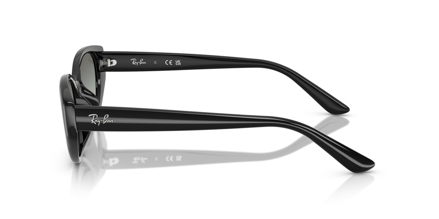 RAY-BAN RB4457D 667711 55