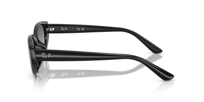 RAY-BAN RB4457D 667711 55