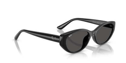 RAY-BAN RB4457D 667787 55