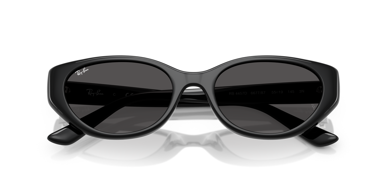 RAY-BAN RB4457D 667787 55
