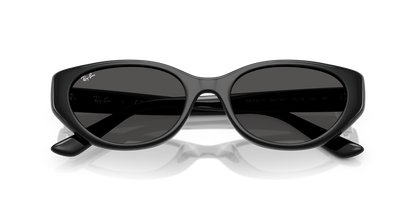 RAY-BAN RB4457D 667787 55