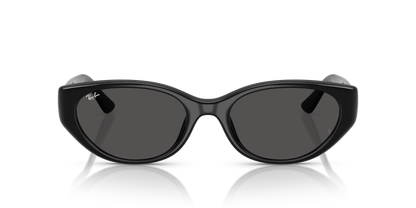 RAY-BAN RB4457D 667787 55