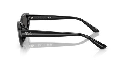 RAY-BAN RB4457D 667787 55