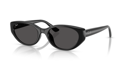RAY-BAN RB4457D 667787 55