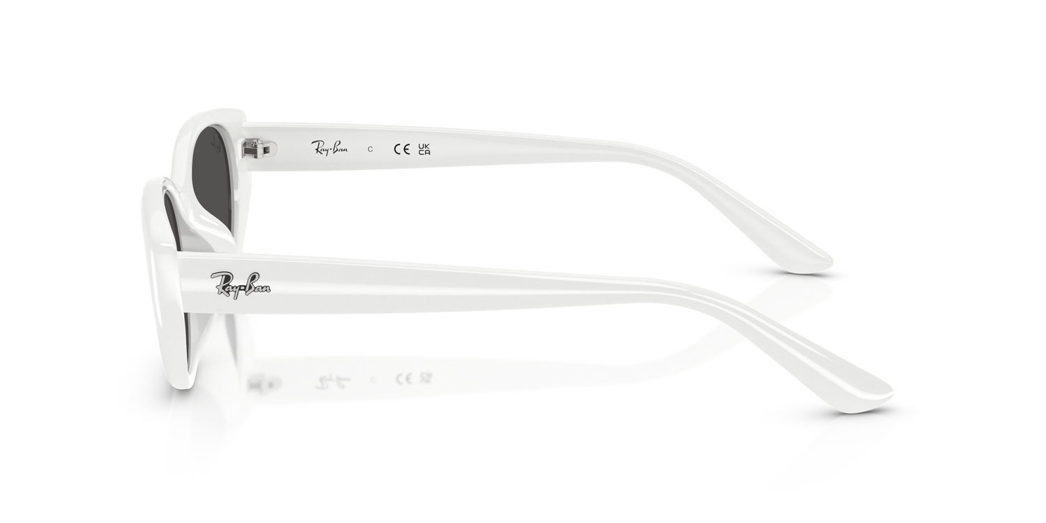 RAY-BAN RB4457D 677287 55